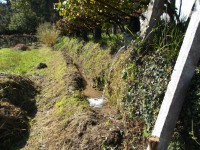 /album/hortaecoloxica/dscf0055-jpg/
