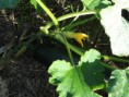 /album/fotogaleria/dscf0067-jpg/