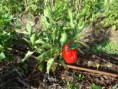 /album/fotogaleria/dscf0239-jpg/